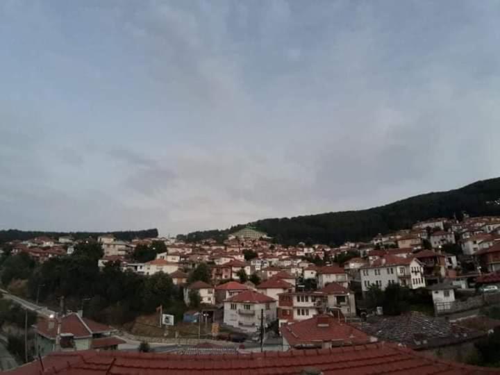 **Etno Vila** - Krusevo Kruševo Exterior foto
